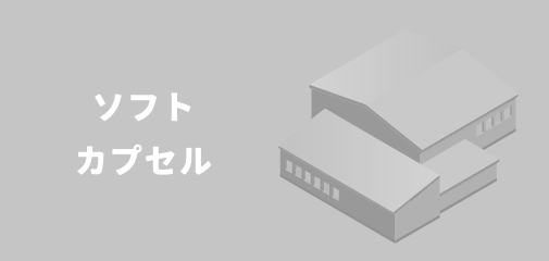 ソフトカプセル